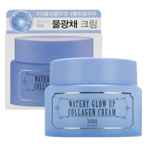 TENZERO WATERY GLOW UP CREAM Увлажняющий крем для лица для сияния кожи 80гр